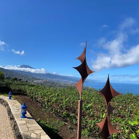 Angelus Amazing Views Sea + Teide Lägenhet