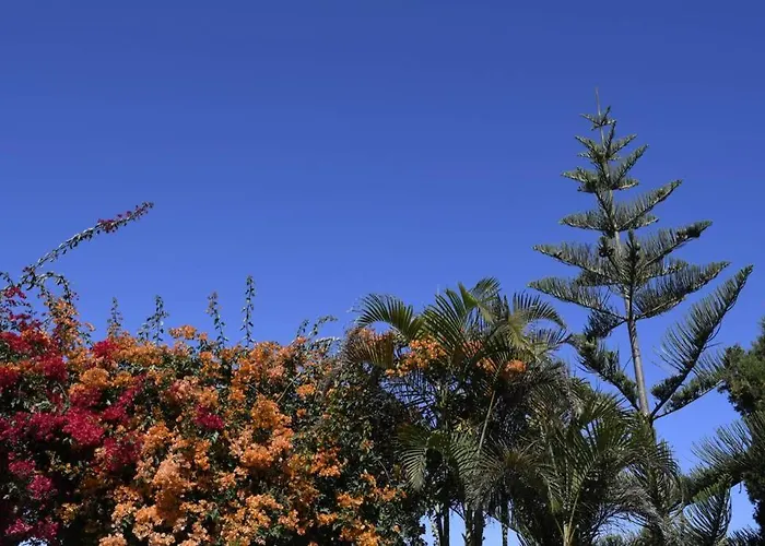 Angelus Amazing Views Sea + Teide Ла-Матанса-де-Асентехо