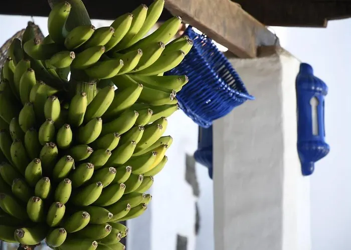 Апартаменты Angelus Amazing Views Sea + Teide Ла-Матанса-де-Асентехо