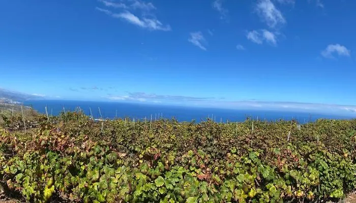 Angelus Amazing Views Sea + Teide Ла-Матанса-де-Асентехо