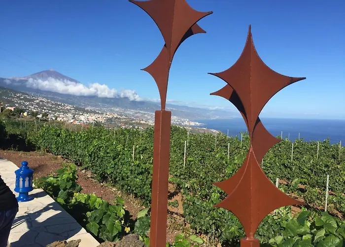 Angelus Amazing Views Sea + Teide * La Matanza De Acentejo