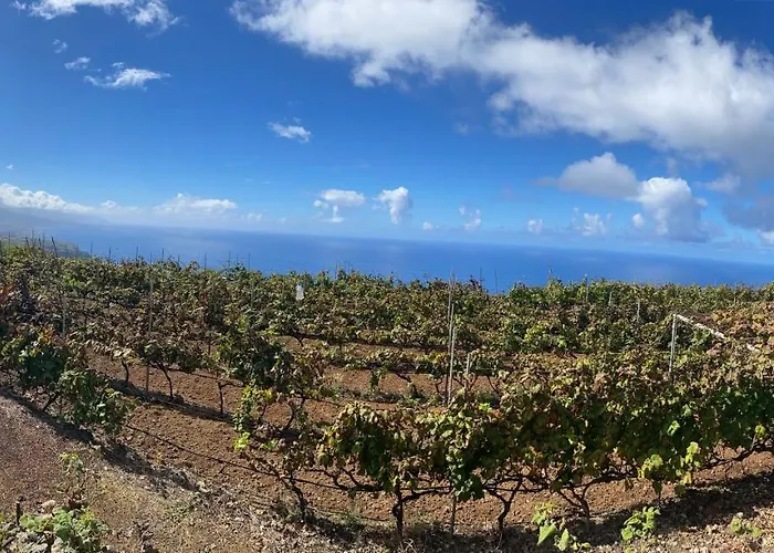 Апартаменты Angelus Amazing Views Sea + Teide *