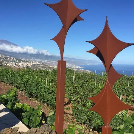 Angelus Amazing Views Sea + Teide * La Matanza De Acentejo