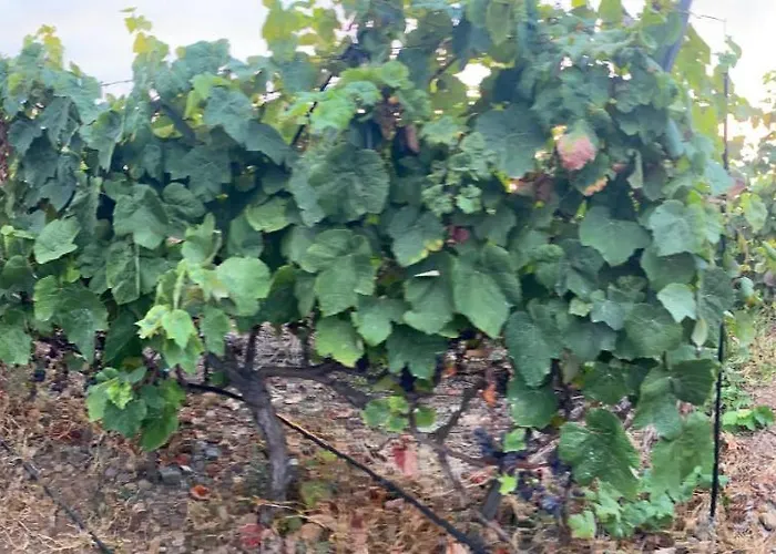 Angelus Amazing Views Sea + Teide Apartament