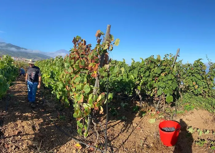Angelus Amazing Views Sea + Teide Apartament La Matanza De Acentejo